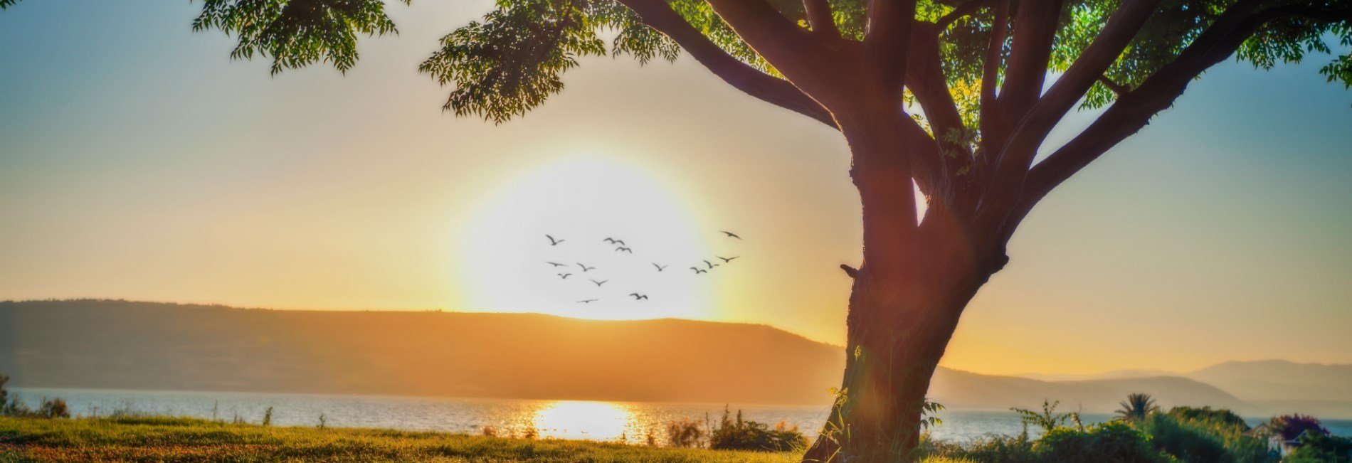 Sea of Galilee Village