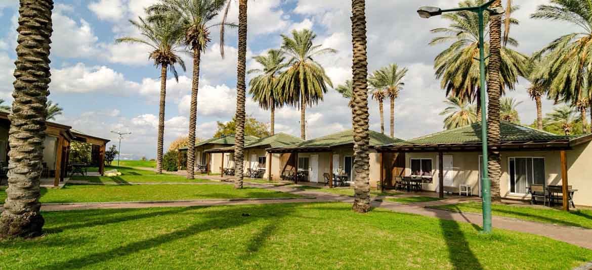 lawns and palm trees