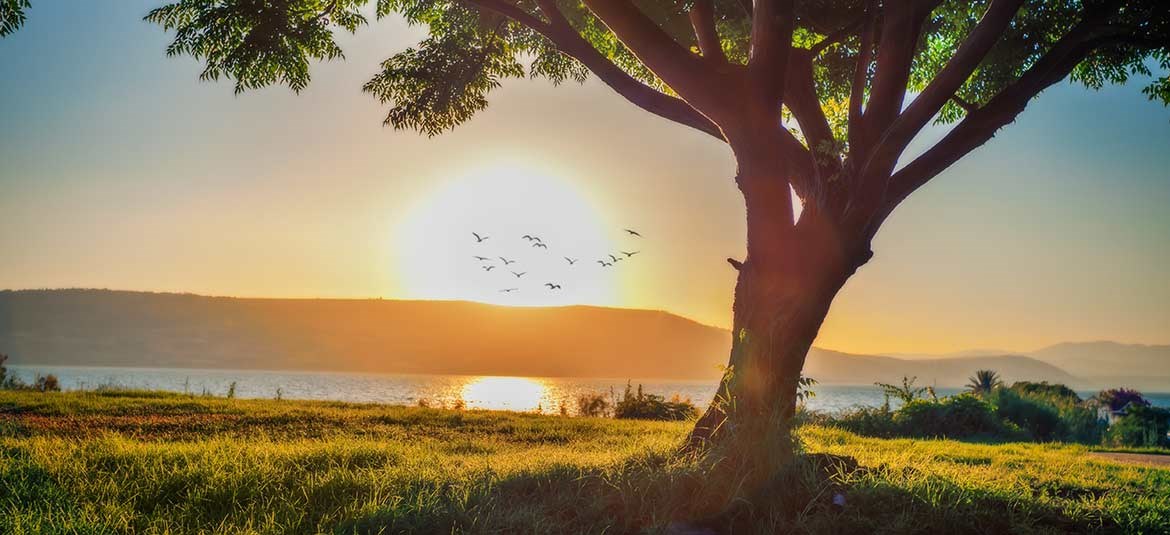 Sea of Galilee Village